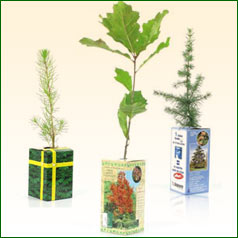 Planfor -